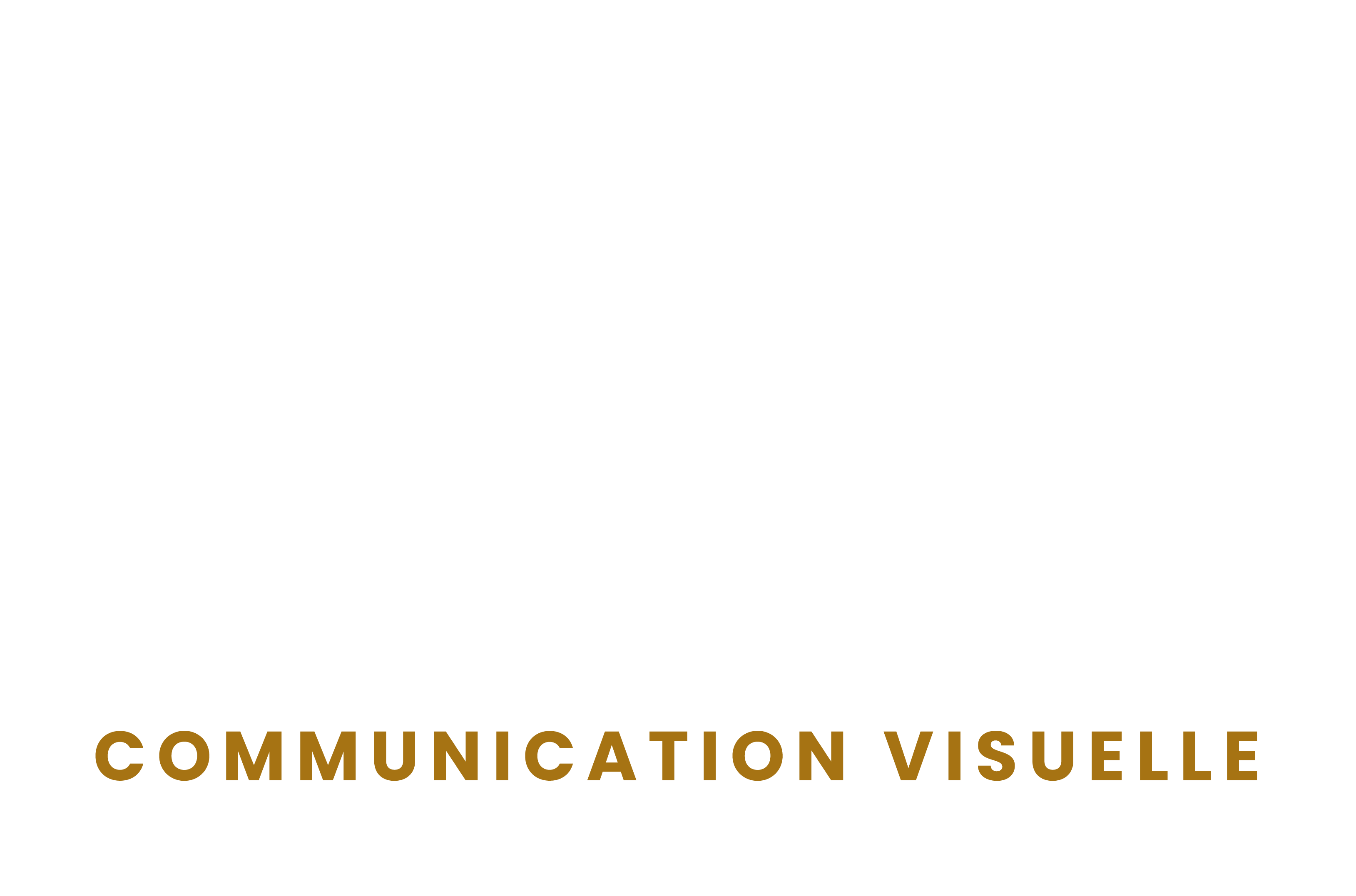 Agence de Communication visuelle – Le Grand Cactus 🌵 Tournus